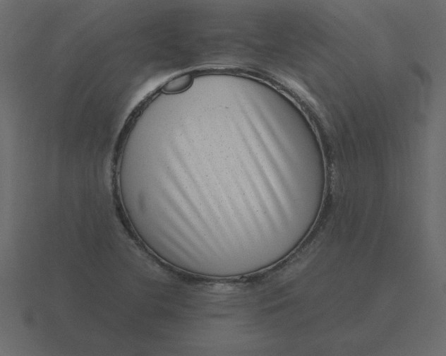 X0000116601412200912241705