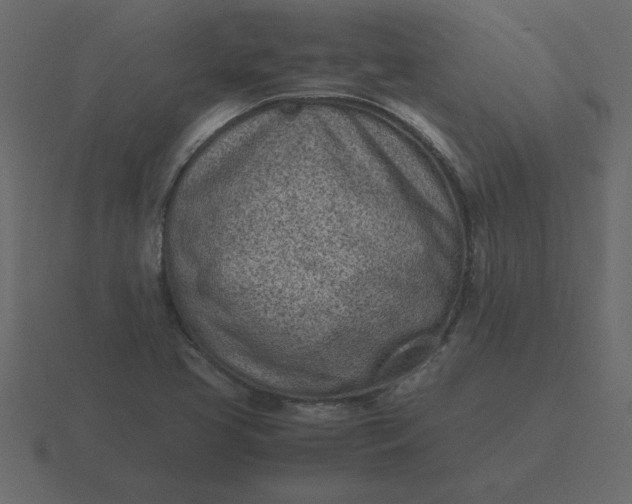 X0000116601413200912241705