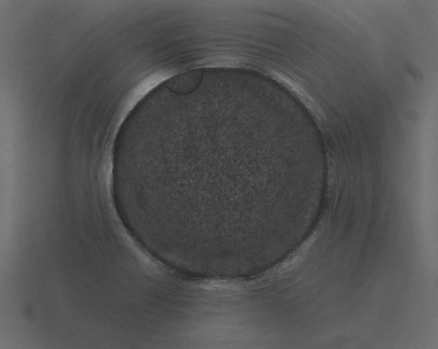 X0000116601418200912241705