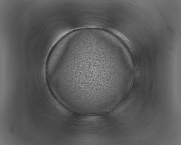 X0000116601423200912241705