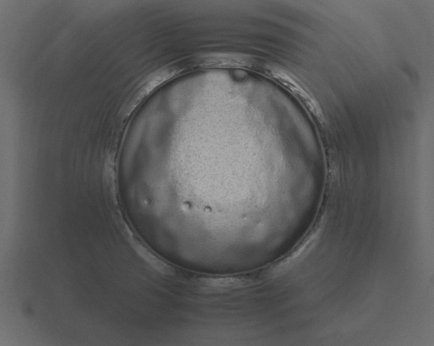 X0000116601425200912241705