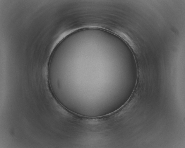 X0000116601428200912241705