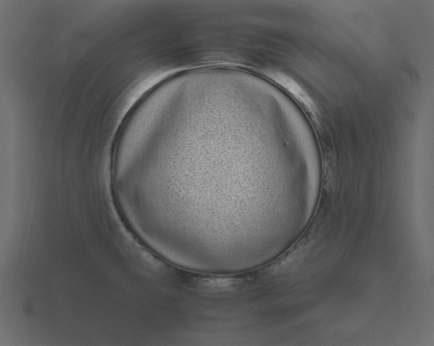 X0000116601431200912241705