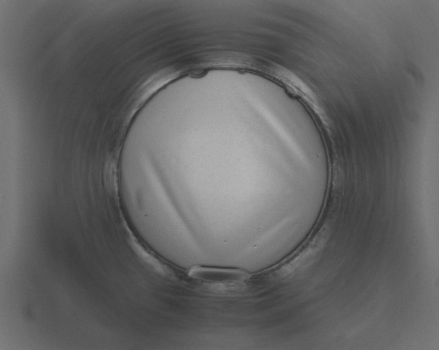 X0000116601433200912241705