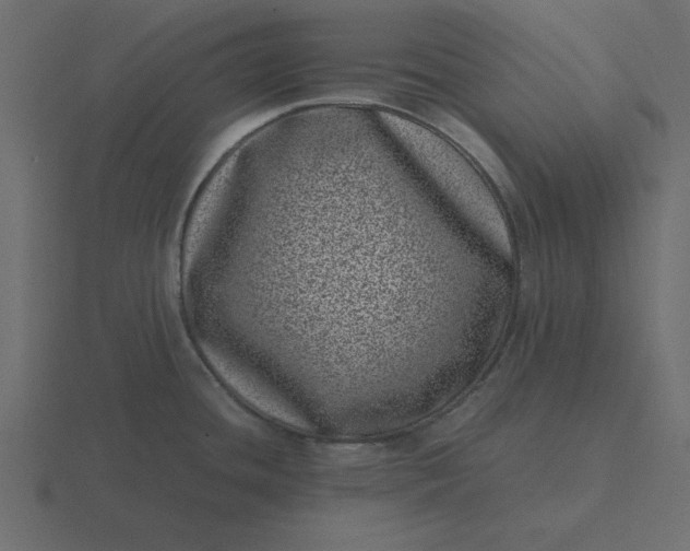 X0000116601436200912241705