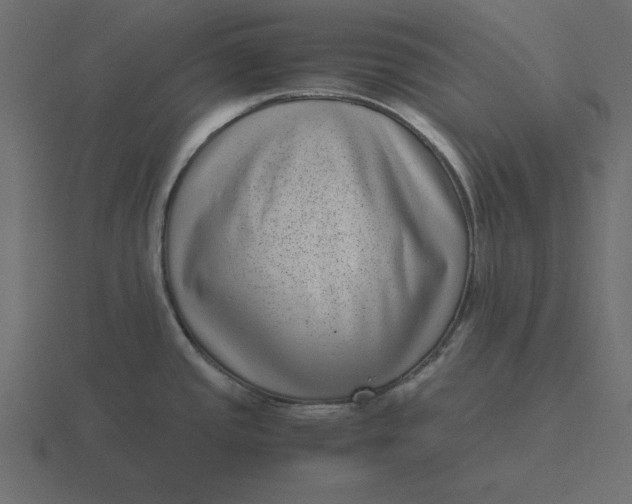 X0000116601437200912241705