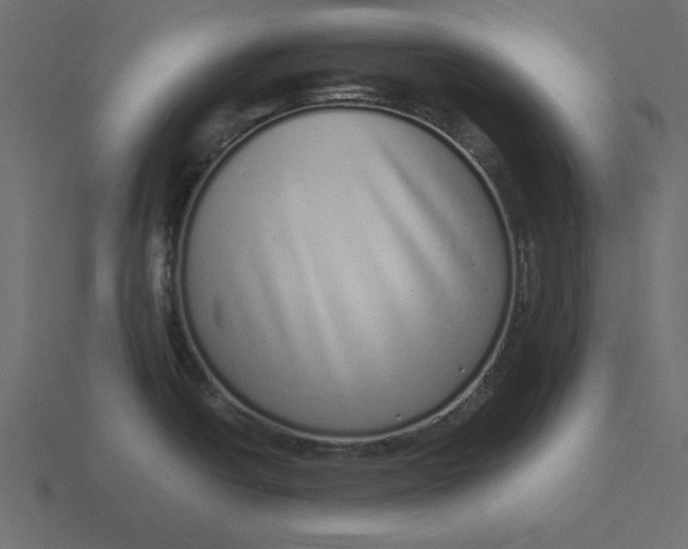 X0000116601438200912241705