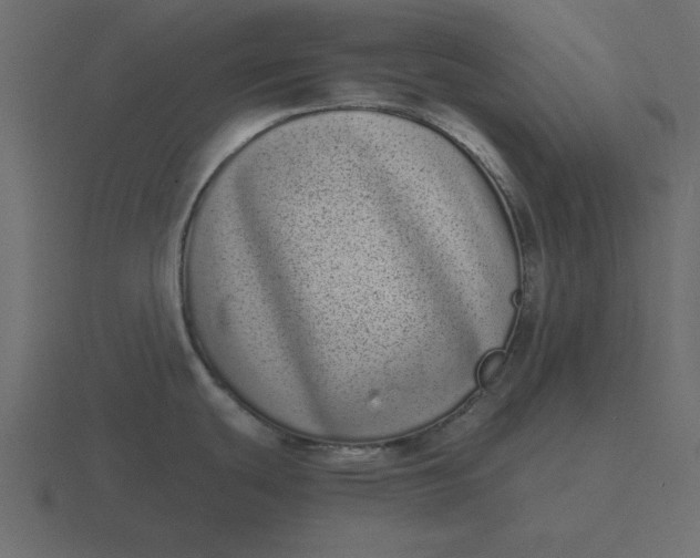 X0000116601439200912241705