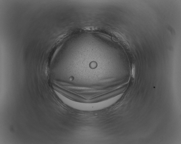 X0000116601444200912241704