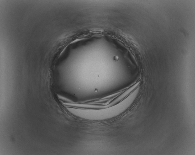X0000116601445200912241704