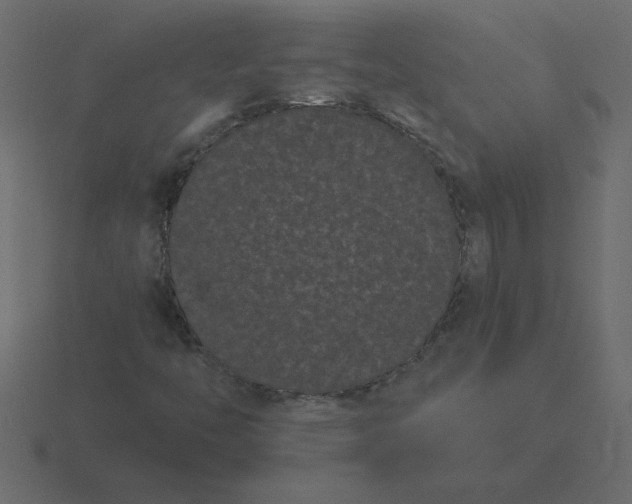 X0000116601446200912241704