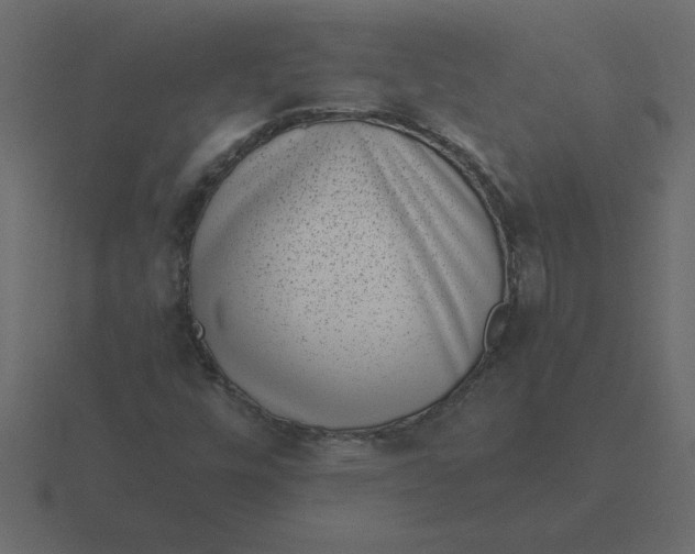 X0000116601448200912241704
