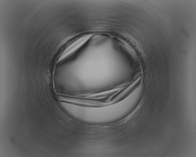 X0000116601449200912241704