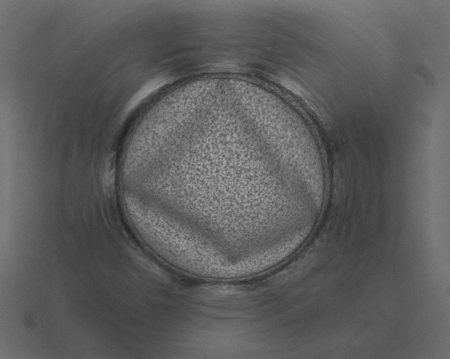 X0000116601450200912241704