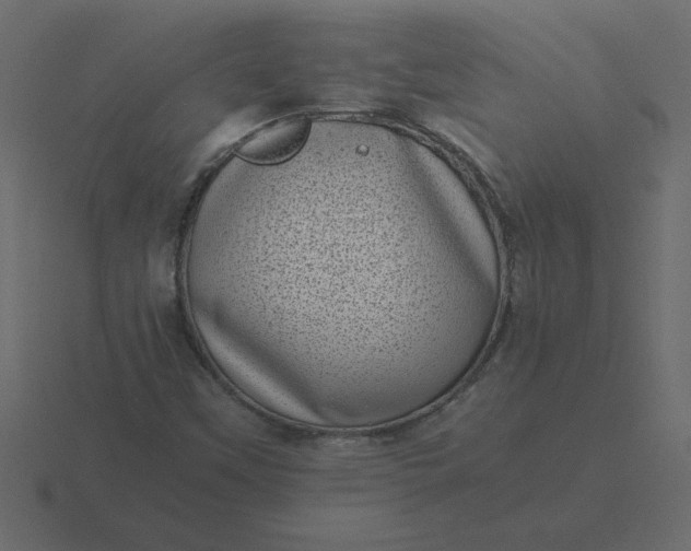 X0000116601451200912241704