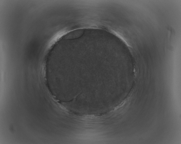 X0000116601455200912241704