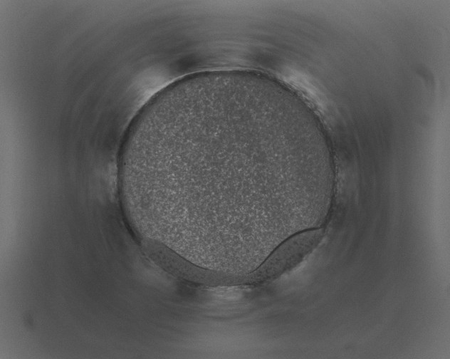 X0000116601457200912241704