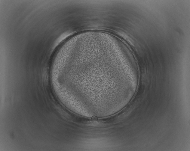 X0000116601458200912241704