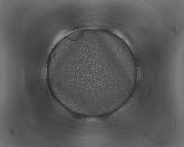 X0000116601459200912241704