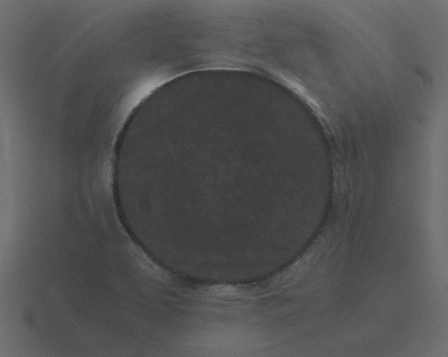 X0000116601463200912241704