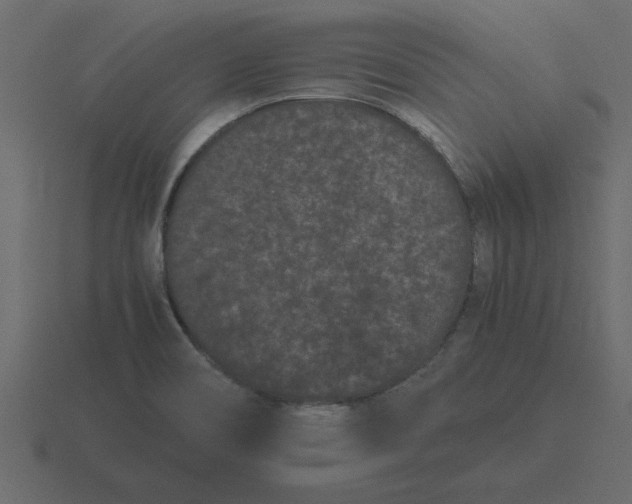 X0000116601466200912241704