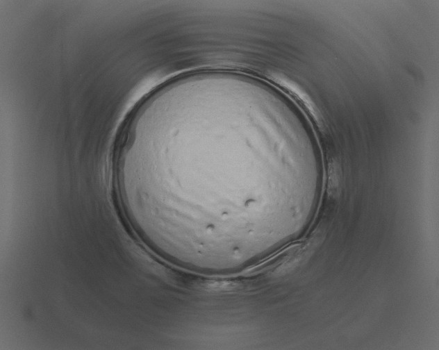 X0000116601467200912241704