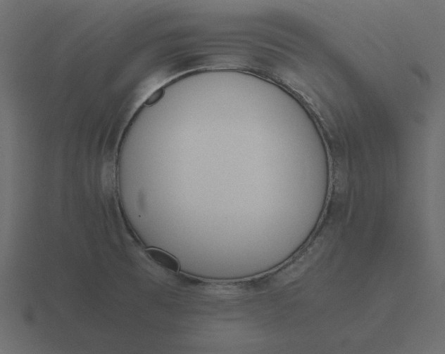 X0000116601473200912241704