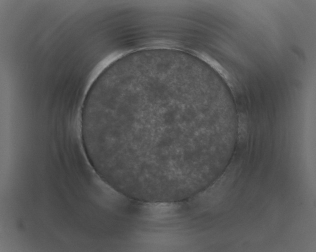 X0000116601474200912241704