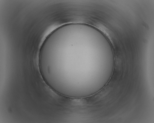 X0000116601480200912241704