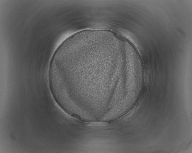 X0000116601487200912241704