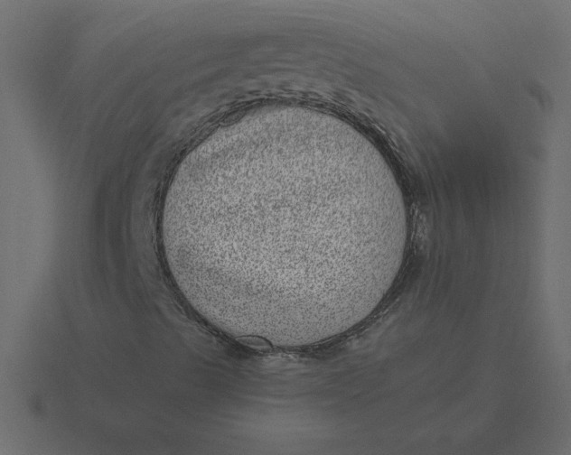 X0000116601489200912241703