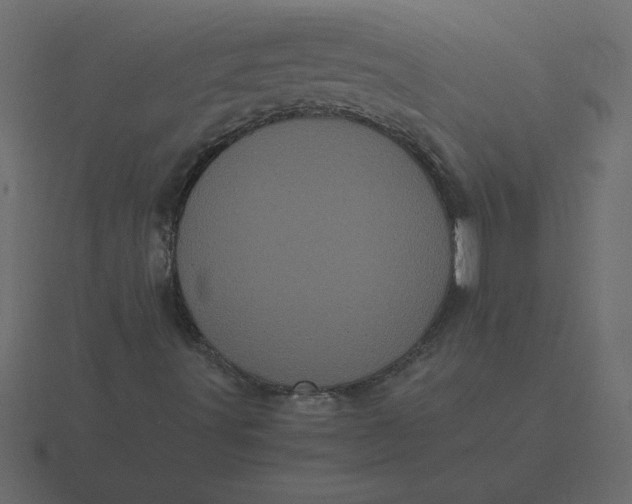 X0000116601491200912241703