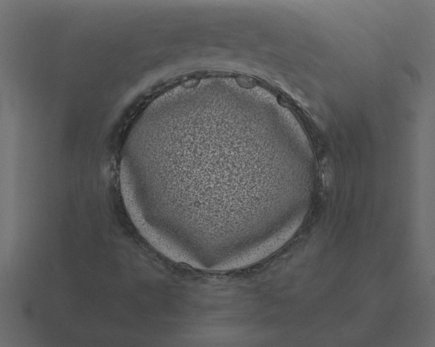 X0000116601495200912241703