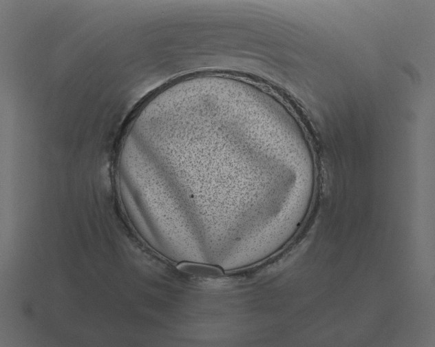 X0000116601497200912241703