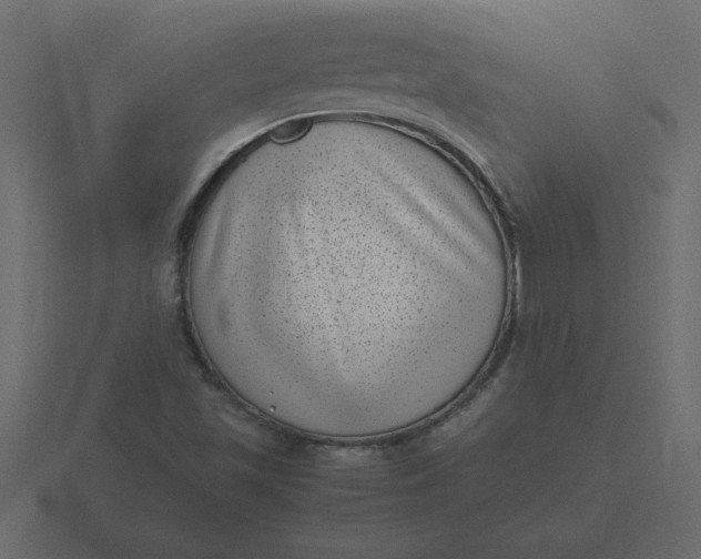 X0000116601501200912241703