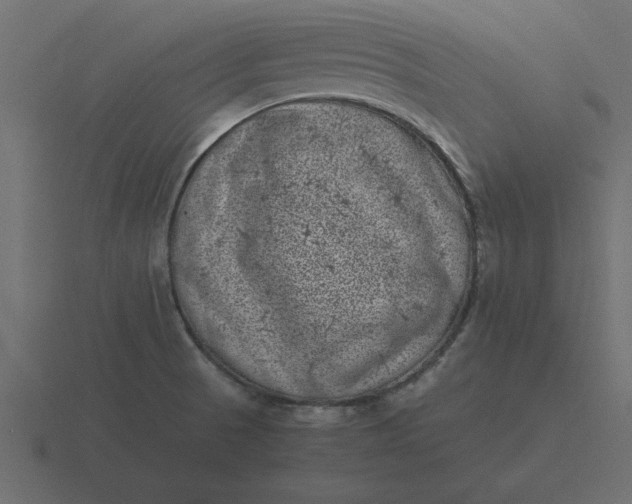 X0000116601521200912241704