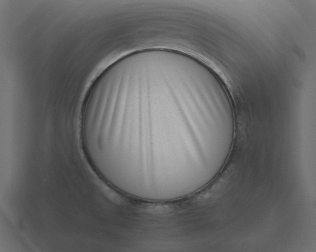 X0000116601525200912241704