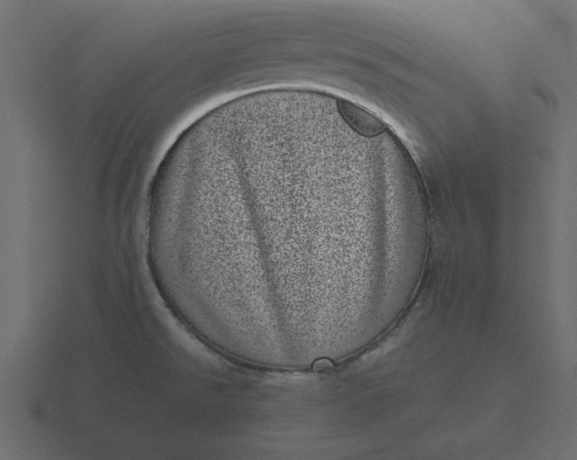 X0000116601526200912241704
