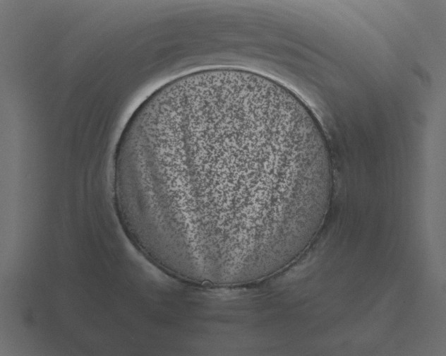 X0000116601527200912241704