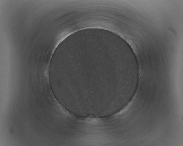 X0000116601529200912241704
