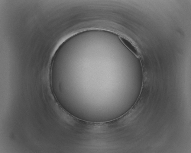 X0000116601530200912241704