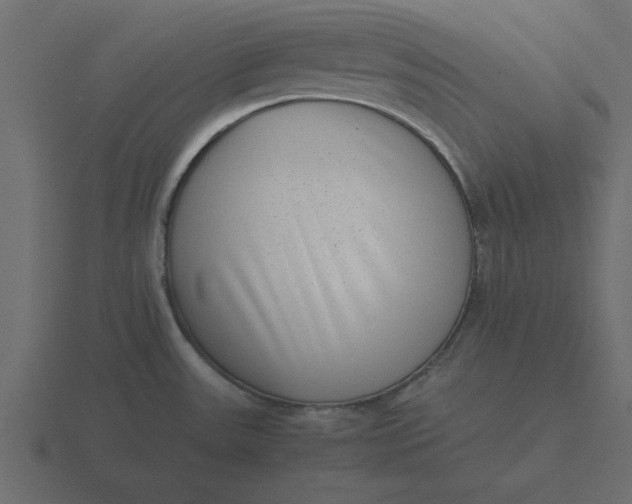 X0000116601531200912241704