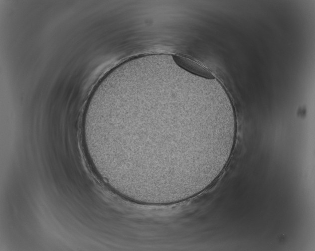 X0000116600001200912312107