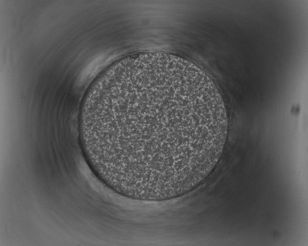 X0000116600002200912312107