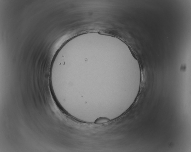 X0000116600003200912312107