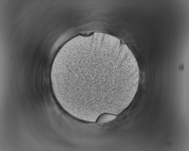 X0000116600004200912312106