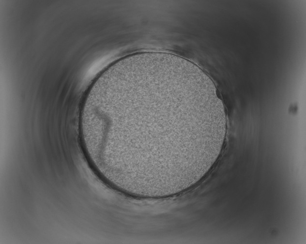 X0000116600005200912312106