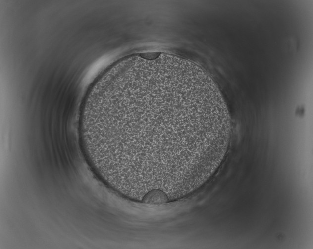 X0000116600006200912312106