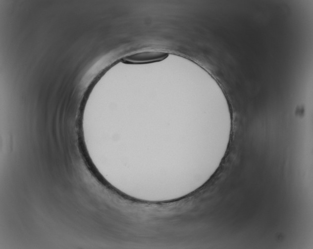 X0000116600007200912312106