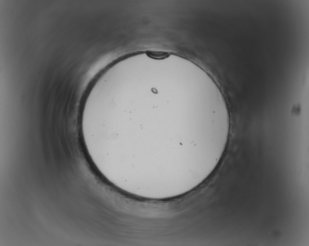 X0000116600008200912312106